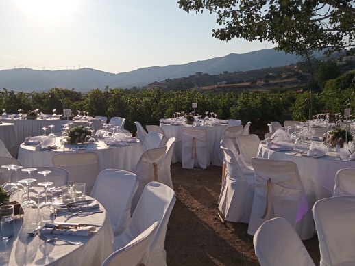montofoli-experience-events