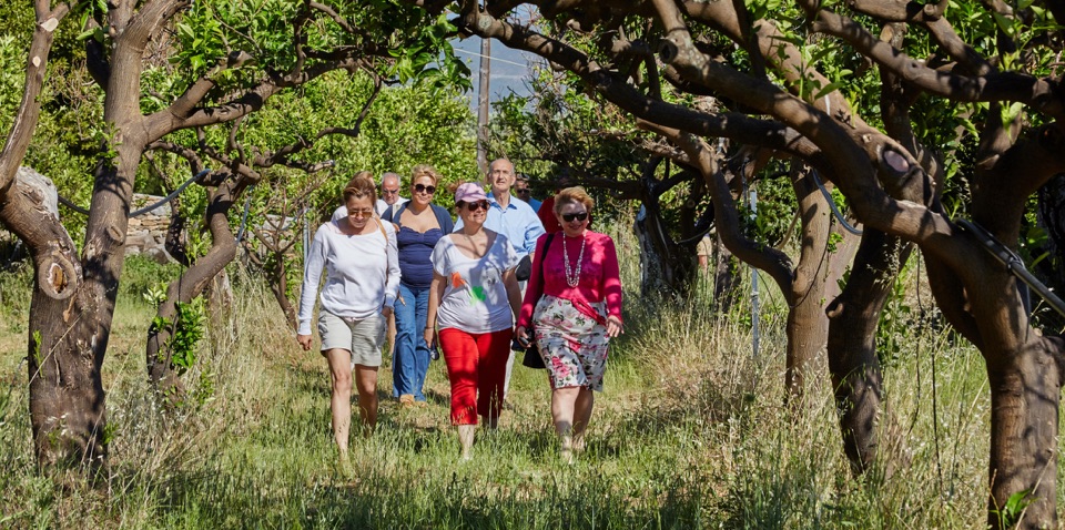 montofoli-guided-tours-1 Group taking a tour in the orange grove