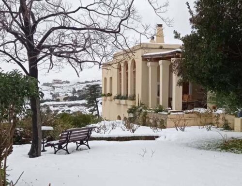 January 2022 Montofoli Wine Estate dressed in white!